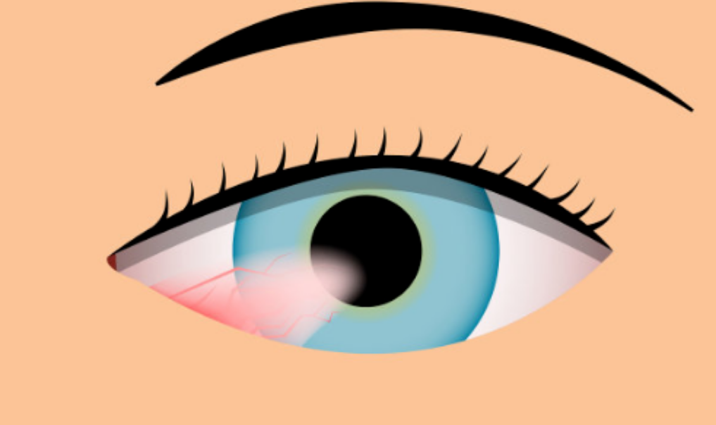 1785572277795355.png 镇江3.png