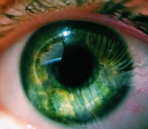镇江-8.png